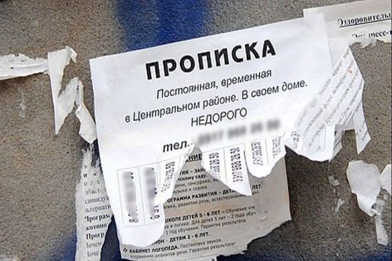 прописка в Арамили